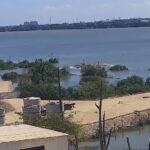 Rompimento da Mina 18 causa mortandade de animais e ameaça sustento de pescadores na região da Lagoa Mundaú