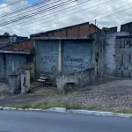 Fila de adoção do cavalo “Caramelo”, que ficou ilhado, tem mil interessados