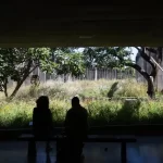 Após repercussão negativa, Lira vai segurar votação do PL sobre aborto