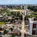 IMA celebra avanços em projeto de reintrodução do Mutum-de-alagoas