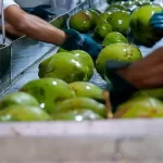 Turismo cresce 6% e bate recorde de receitas no primeiro trimestre de 2025