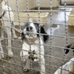 Turismo cresce 6% e bate recorde de receitas no primeiro trimestre de 2025