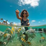 Exportações de frutas movimentam mais de US$ 1 milhão em Alagoas