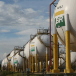 Maceió registra aumento nos casos de picadas por escorpião; veja onde encontrar o soro antiescorpiônico