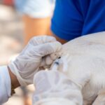 Acessibilidade no cotidiano amplia o consumo e fortalece a inclusão