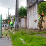 Maceió inicia vacinação gratuita contra raiva para cães e gatos neste sábado