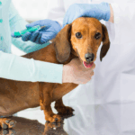 O que é o “CPF dos imóveis” e por que ele pode aumentar o IPTU