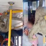 Troca de livros na Bienal de Alagoas incentiva circulação de conhecimento