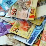 Rede Interestadual de Tráfico de Aves Silvestres é Desarticulada por Ministérios Públicos da Bahia e Alagoas