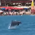 Sala sensorial oferece atendimento humanizado e acolhimento a pessoas neurodivergentes em Maceió