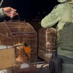 MPAL publica edital de concurso com 27 vagas para níveis médio e superior