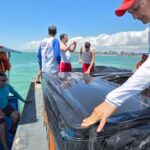 Réveillon inclusivo: Maceió terá fogos de baixo ruído em cinco pontos da cidade