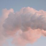 CRB alcança 15ª final seguida no Campeonato Alagoano e sobe no ranking nacional