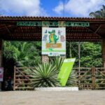 Maceió anuncia transporte público exclusivo para mulheres para reforçar segurança no sistema coletivo