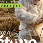 Detran/AL realiza leilão de 581 veículos em Maceió e Arapiraca nesta semana